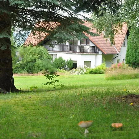 Willa Bukowiec וילה Bukowiec (Lower Silesia)